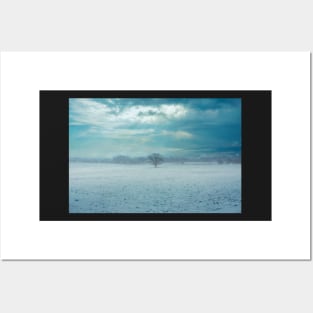 Tree in a foggy winter landscape - Art Print Posters and Art